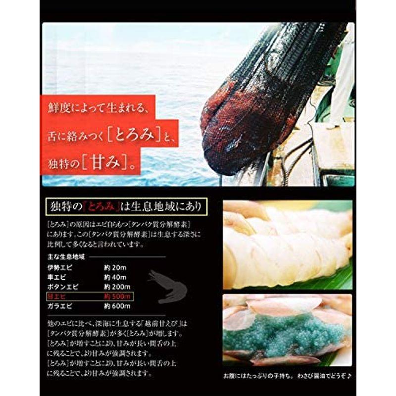 ますよね 日本海産 子持ち 甘えび 1kg (500g×2箱) 酸化防止剤 添加物不使用 甘海老 エビ