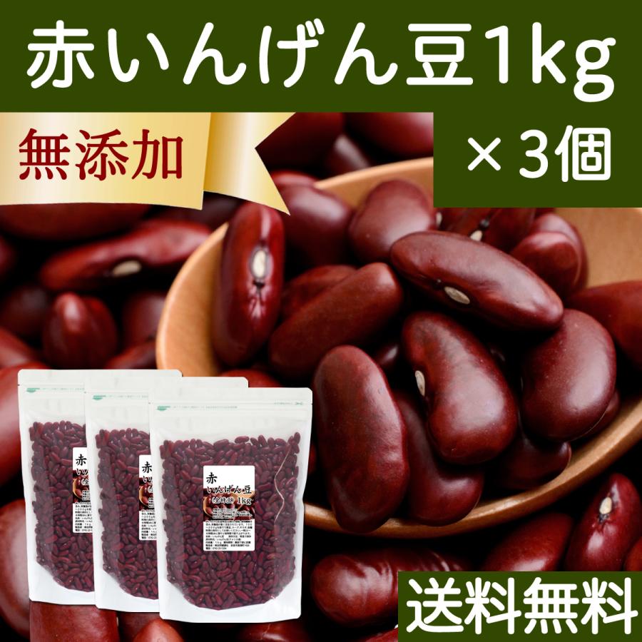 赤 いんげん豆 1kg×3個 金時豆 インゲン豆 レッドキドニー ビーンズ 送料無料