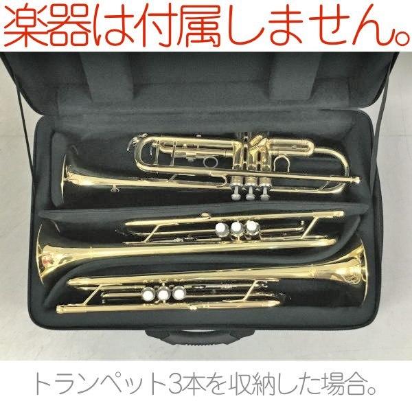 bags(バッグス) EF4TR RED トランペット ケース 3本用 4本用 レッド 赤色 ハードケース フリューゲル トリプル Trumpet case　北海道 沖縄 離島 代引き 同梱不可