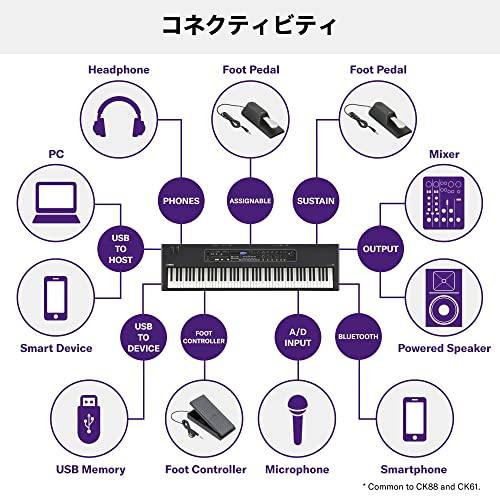 ヤマハ YAMAHA ステージキーボード 61鍵 スピーカー内蔵 電池駆動対応 軽量コンパクト CK61