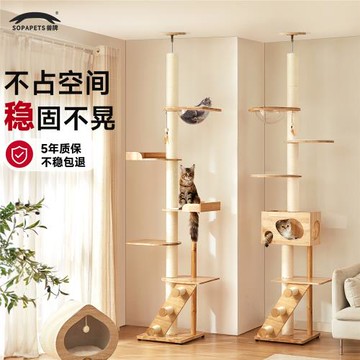 獸牌云霄貓爬架通天柱頂天立地高層不占地方實木靠墻占地小貓爬柱