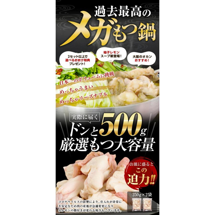 お試し40%OFF できたて直送 博多もつ鍋 お取り寄せ ホルモン500g 250g×2袋 2-3人前 選べる出汁スープ味 薬味付 〆のラーメン2玉付 ギフト モツ鍋