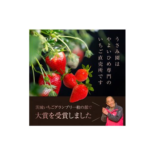 ふるさと納税 茨城県 鉾田市 畑のいちご2パック