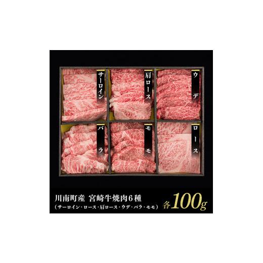 ふるさと納税 宮崎県 川南町 ※令和6年3月発送※宮崎牛焼肉6種 600g