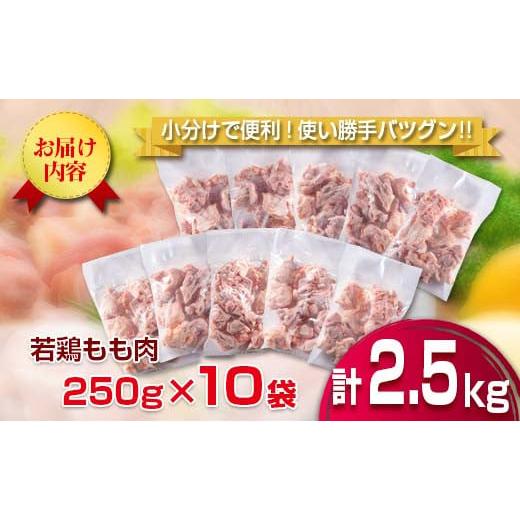 ふるさと納税 宮崎県 日南市 小分けで便利 カット済 若鶏 もも肉 計2.5kg 250g×10袋 肉 鶏 鶏肉 国産 おかず 食品 お肉 チキン 送料無料_B219-23