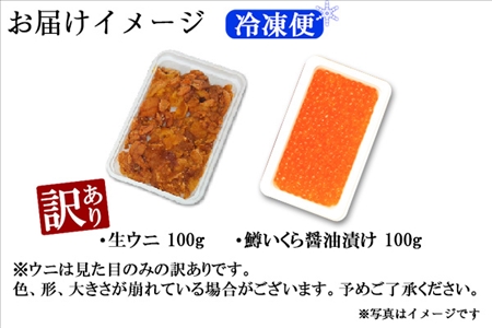 1260.訳あり うに チリ産 冷凍 鱒 いくら 醤油漬け ウニ100g マスいくら 100g 雲丹 不揃い うに わけ あり 海鮮 丼 海鮮丼 刺身 うに丼 いくら丼 魚卵 自宅用 送料無料 北海道 弟子屈町