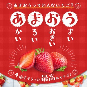 あまおう 約270g 4パック×3回 計12パック_Fi301_定期便 3回 いちご あまおう 約270g×4パック × 3回 計12パック 果物 フルーツ ストロべリー 福岡県 九州 お取り寄せ 2024年1月より順次発送 おやつ スイーツ パフェ ショートケーキ パンケーキ スムージー ジャム お菓子作り 送料無料