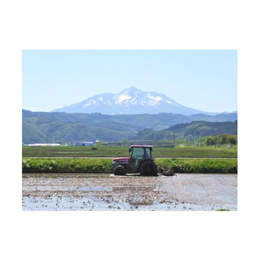 ふるさと納税 青森県 鰺ヶ沢町 令和5年産 まっしぐら 玄米 5kg（5kg×1袋）※令和5年10月上旬より順次お届け 青森県鰺ヶ沢町産　山下農園