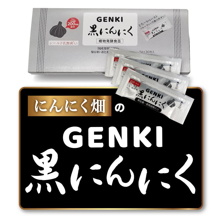 GENKI黒にんにく 1箱(5gx30包) 醗酵黒生姜 ガシュツ末 梅エキス 野菜酵素　フラクトオリゴ糖 シールド乳酸菌 黒ニンニク サプリ 健康 腸活 国産素材 メール便