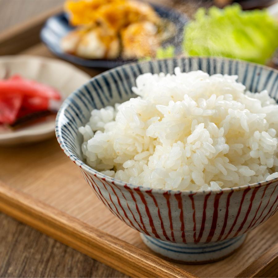 米 お米 20kg まっしぐら 青森県産 5kg×4 令和5年産 白米