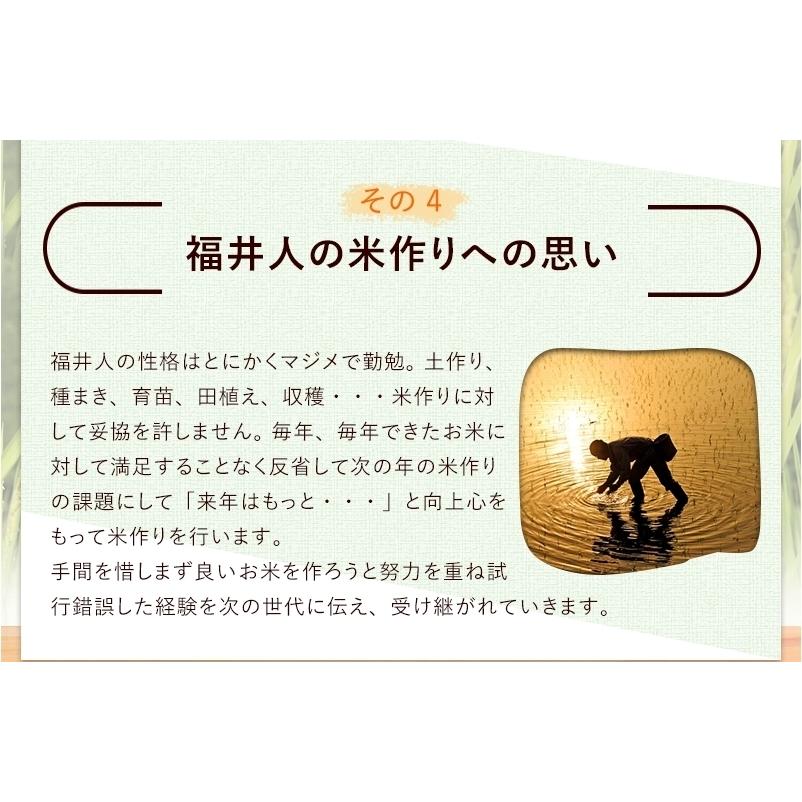 最高級コシヒカリ 令和4年福井県大野産 15kg ※米食味鑑定士鑑定済