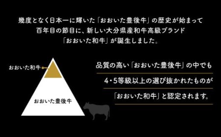 E-02A 「おおいた和牛」肩ロースすき焼き用×2セット