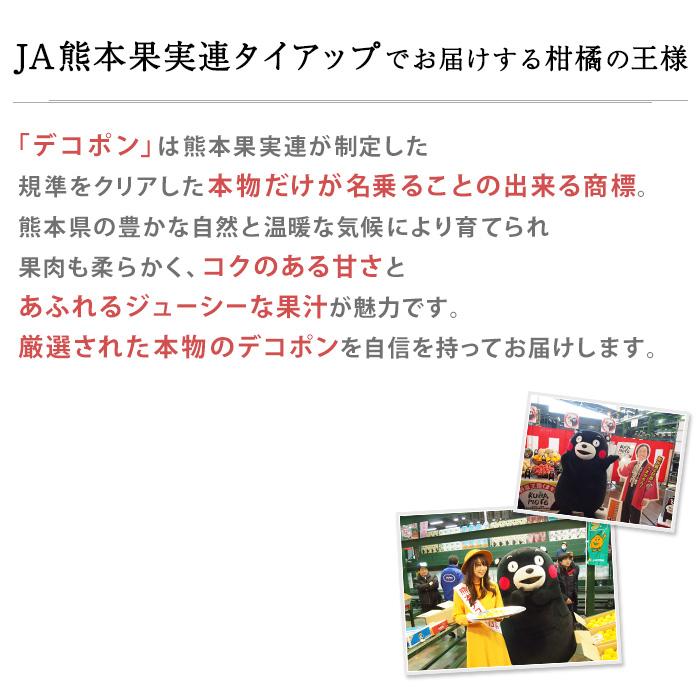 みかん 熊本県産 デコポン 約3kg 8〜12玉 ハウス栽培