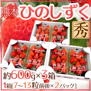 熊本県 ”ひのしずくいちご” 秀品 2パック入り（1パック 7～13粒 約300g）×《3箱》 送料無料