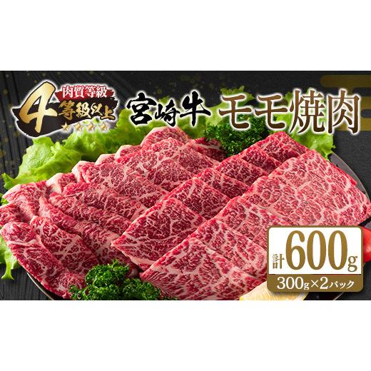 ふるさと納税 宮崎県 日南市 宮崎牛モモ焼肉(計600g)　肉　牛　牛肉 C70-21