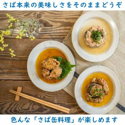 ふるさと納税 松浦市 松浦のさば缶詰3種セット