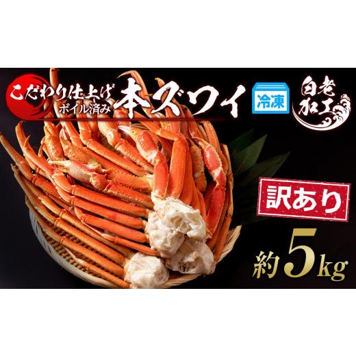 ふるさと納税 北海道 白老町 訳あり 本ズワイ蟹脚 ボイル冷凍 5kg（14〜20肩前後） ギフト プレゼント かに カニ 北海道