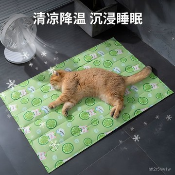 🔥臺灣熱賣🔥寵物冰墊夏天貓咪睡墊涼席狗狗冰窩夏季降溫涼墊耐咬冰墊狗窩睡墊 SDFI