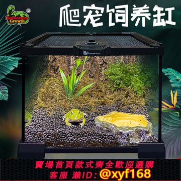 {可打統編 保固一年}角蛙飼養箱生態缸爬寵爬蟲玻璃飼養盒守宮鬃獅蜥蜴寵物蛇雨林造景