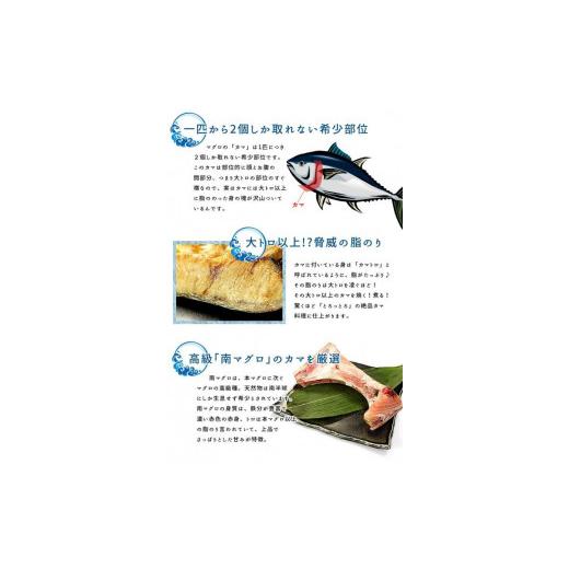 ふるさと納税 福島県 いわき市 南マグロ大トロカマ2kg　加熱用　塩焼きや煮付けに