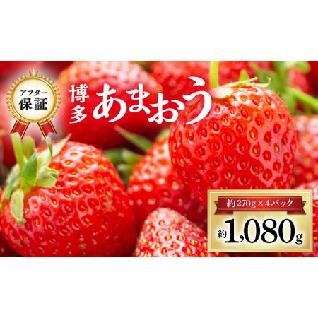 ふるさと納税 3W12 　博多あまおう 約1,080ｇ (約270ｇ×4パック) 福岡県赤村