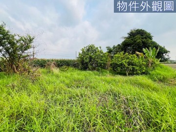 獨家!善糖國小開心農場｜台南市善化區六分寮