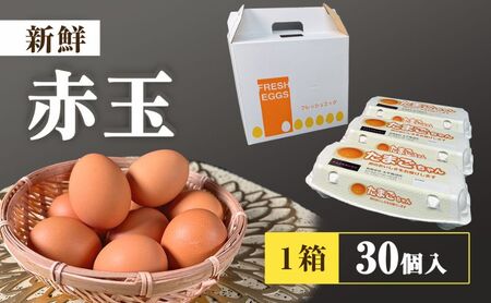 アスタキサンチンたまごちゃん 10個入り×3パック 卵 鶏卵 アスタキサンチン 抗酸化パワー