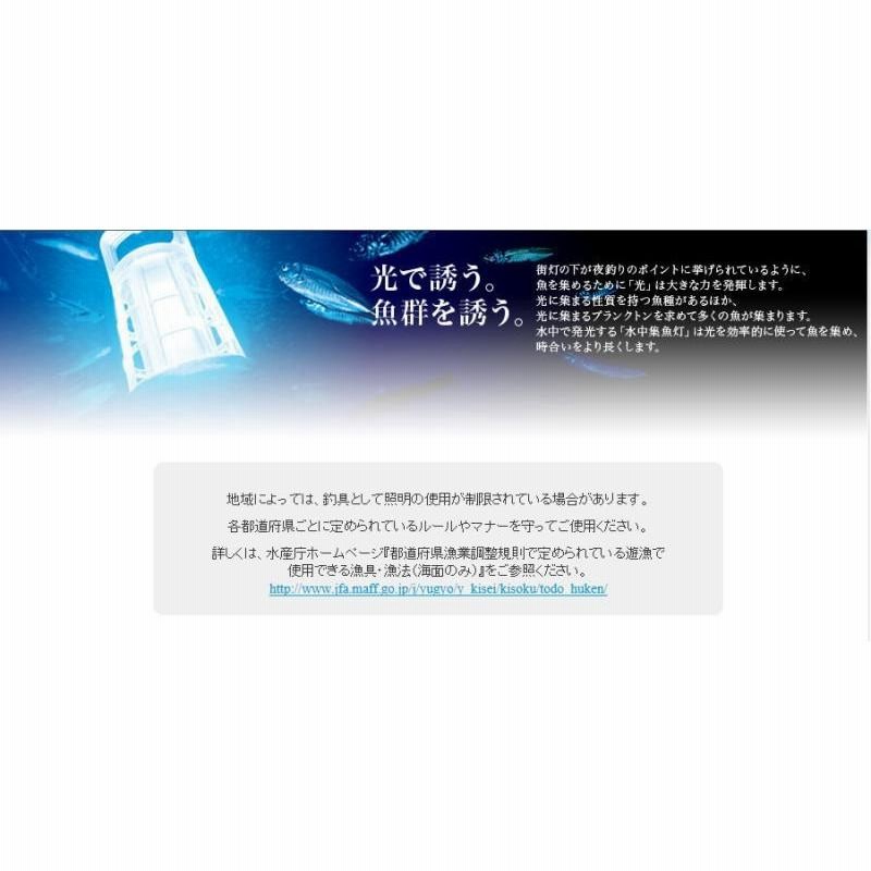 水中集魚灯 ハピソン 集魚ライト 魚が最も反応する波長500nm 青