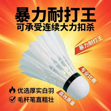 臺灣出貨🔥羽毛球耐打飛行穩定室內外訓練專用球防風便宜正品真羽毛
