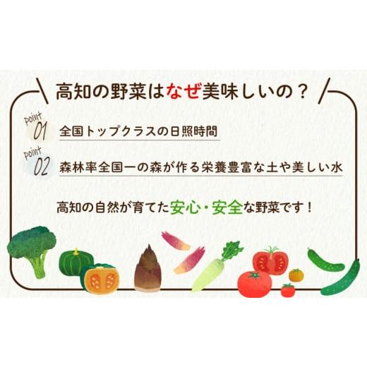 ふるさと納税 高知県 須崎市 定期便 訳あり 野菜 3回 3か月 詰め合わせ セット 毎月お届け 高知県 須崎市