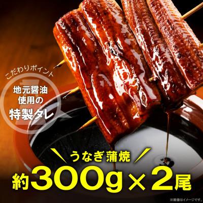 ふるさと納税 上毛町 うなぎの蒲焼ビッグサイズ　2尾(計約600g)