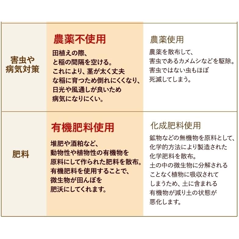 無農薬 玄米 米 2kg 無農薬 ミルキークイーン 極 令和5年福井県産 新米入荷 送料無料 無農薬・無化学肥料栽培