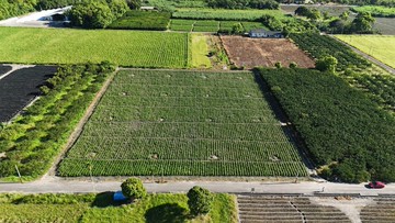 ️花蓮瑞穗鄉瑞穗段8.8分大面寬臨路農地️｜花蓮縣瑞穗鄉瑞穗段