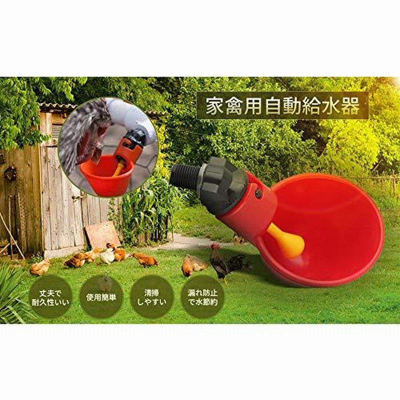 66%OFF!】 鶏 自動給水器 ウォーターボウル 鳩 鳥用 フィーダー 水飲み器 家禽養殖用給水器 プラスチック製 簡単設置 赤 10個入り 鶏 自動給水器 ウォーターボウル 鳩 鳥用 フィーダー 水飲み器 家禽養殖用給水器 プラスチック製 簡単設置 (赤 10個入り)