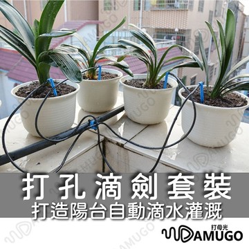 【陽台40盆植物同時澆水】滴灌系統 自動澆水器 自動澆水 滴劍套裝 自動澆花 自動澆花器 自動灑水