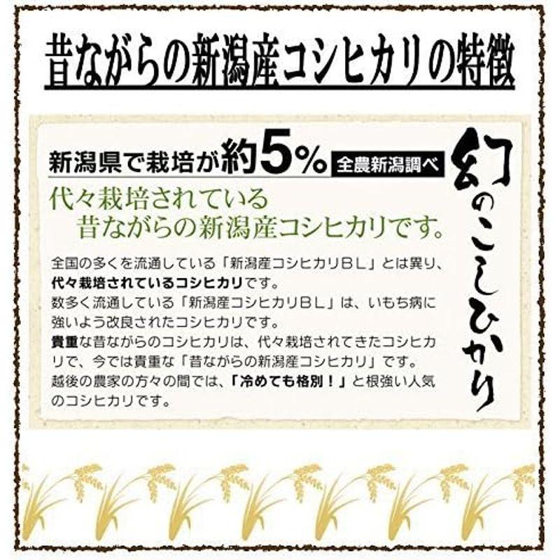 新米 精白米 5kg 昔ながらの新潟産こしひかり 令和4年産 安心安全な特別栽培米