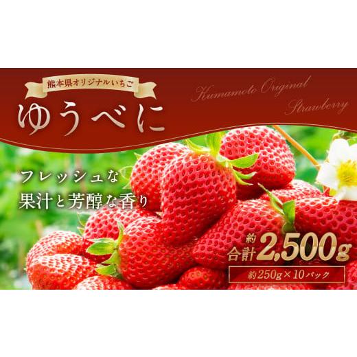 ふるさと納税 熊本県 熊本市  熊本産 ゆうべに 250g×10パック 計2.5kg いちご イチゴ 苺