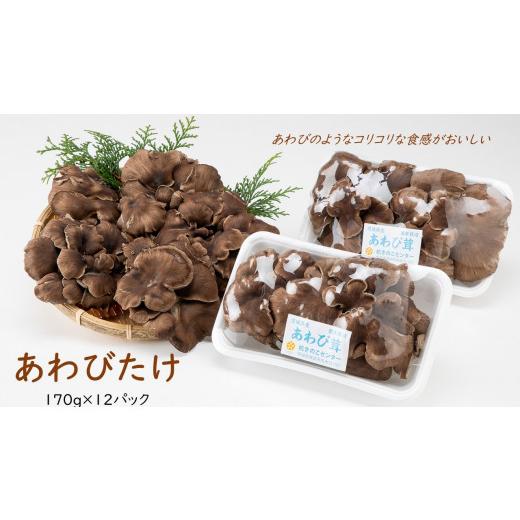 ふるさと納税 茨城県 鉾田市 あわびたけ（170ｇ×12パック）