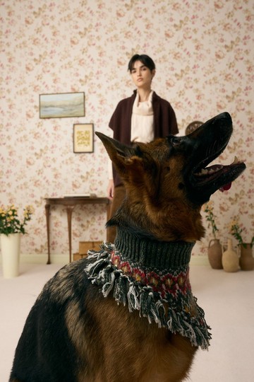 MULTI LAB - 515 寵物脖圍