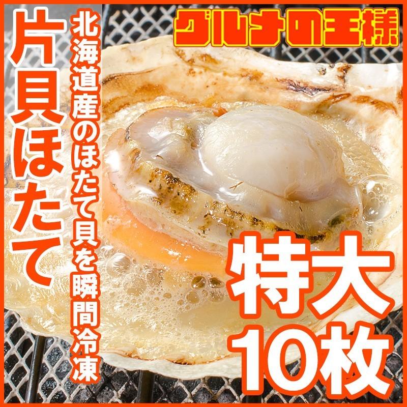 ホタテ ほたて 特大 片貝ほたて 10枚入り （殻付きほたて 帆立 貝 バター焼き 浜焼き バーベキュー BBQ 業務用 築地市場 ギフト）