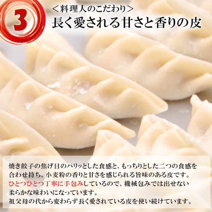 ゴロゴロ肉たっぷり 肉餃子 大興寺餃子 2kg 100個 選べる 水餃子 焼き餃子 ニンニク不使用 冷凍 大分県産 送料無料 お取り寄せ