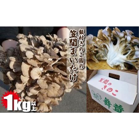 ふるさと納税 BP-4  隔月飯村きのこ園の笠間まいたけ(1kg以上) 茨城県笠間市