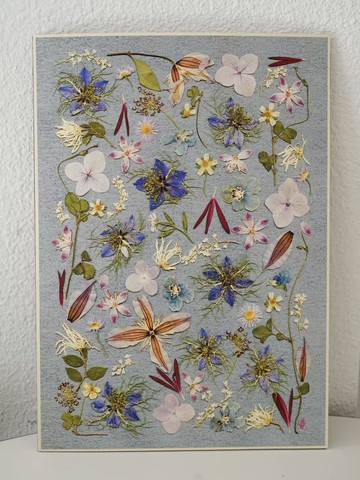 ŽIRAFA【品月】中國宮廷服飾配色押花作品藝術微噴畫裝飾畫芯