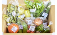 季節の旬野菜セット 6～10品種 詰め合わせ 産地直送   雲仙つむら農園   長崎県雲仙市