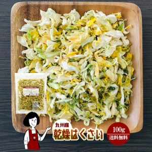 乾燥はくさい100g〔チャック付〕／九州産 乾燥野菜 白菜 メール便 送料無料 チャック付 九州産 国産 ボイル済み ドライベジ アウトドア