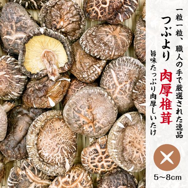 干し椎茸 国産 つぶより 肉厚椎茸 100g 箱入り ギフト お歳暮 お中元 内祝い 香典返し しいたけ 干ししいたけ