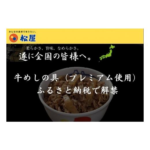 ふるさと納税 埼玉県 嵐山町 松屋 カレー 牛めし 10個 セット 冷凍 牛丼 カレー　