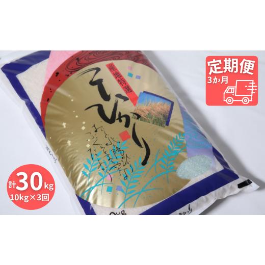 ふるさと納税 岐阜県 垂井町 ≪令和5年産新米≫岐阜コシヒカリ（約10kg×3回）