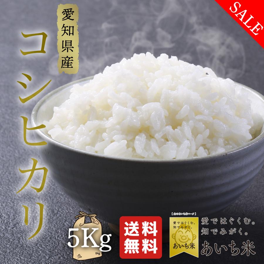 新米 米 お米 5kg 愛知県産 コシヒカリ 白米 5キロ 令和5年産 送料無料 5kgx1袋 こしひかり 精米