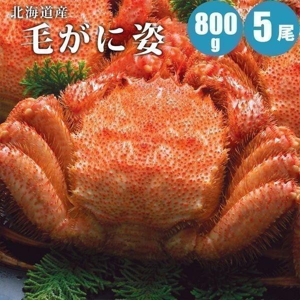 カニ 蟹 毛蟹 特大 毛ガニ 800g 5尾 北海道 御中元 お中元 夏ギフト 暑中見舞 誕生日 内祝 北海道ギフト 父の日 敬老